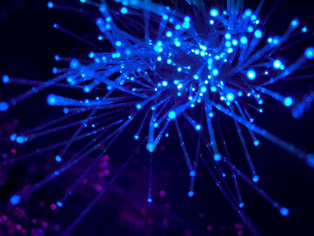 📷 Foto: JJ Ying / Unsplash