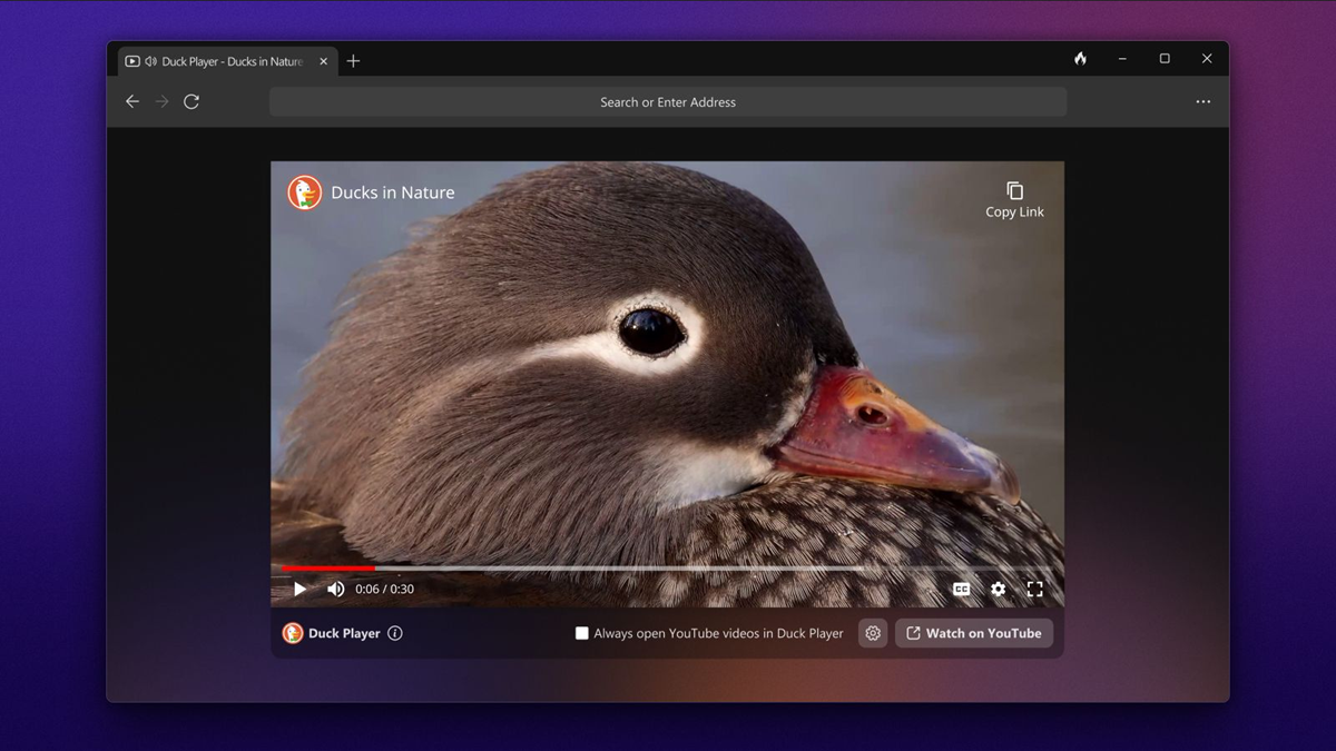 📷 Foto: DuckDuckGo
