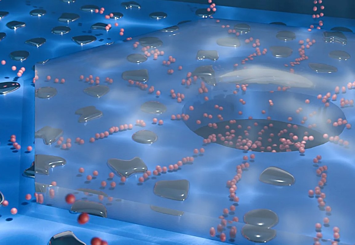 Umjetna nanofluidna sinapsa može pohraniti računalnu memoriju 📷 Andraš Kiš/EPFL