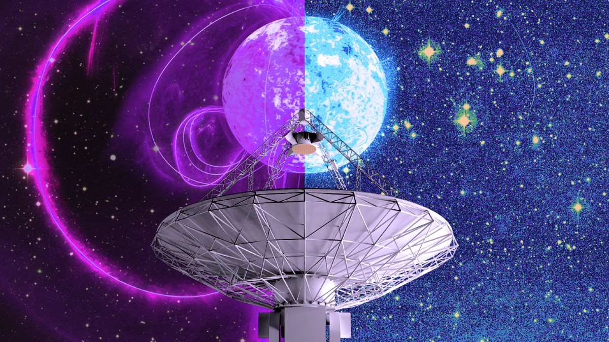Umjetnički prikaz radioteleskopa ASKAP zvjezdarnice CSIRO, s dvije verzije misterioznog objekta – neutronska zvijezda ili bijeli patuljak? 📷 Carl Knox/OzGrav