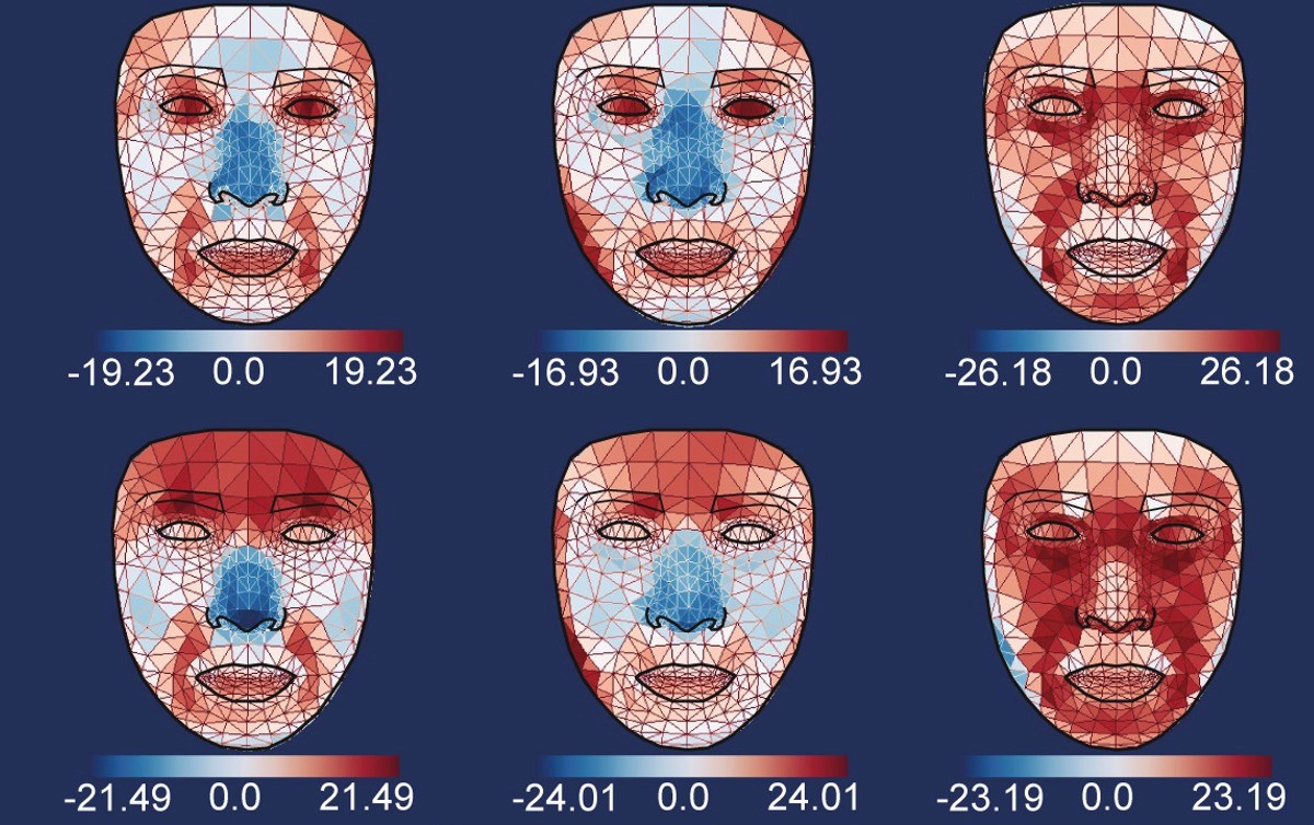 Toplinski profil pojedinca povezan je s načinom života i metaboličkim zdravljem, zaključili su kineski znanstvenici 📷 Peking University